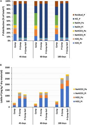 Phosphate-Solubilizing Fungi and Alkaline Phosphatase Trigger the P Solubilization During the Co-composting of Sorghum Straw Residues With Burkina Faso Phosphate Rock